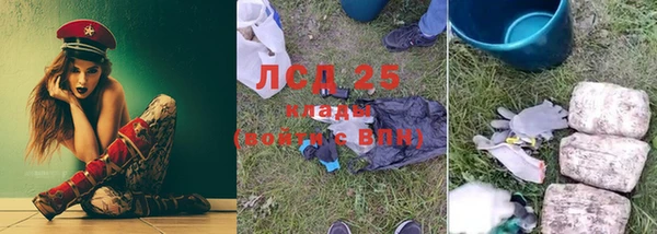 apvp Осинники