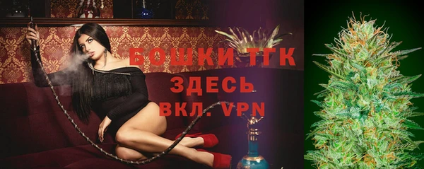 дмт Осташков