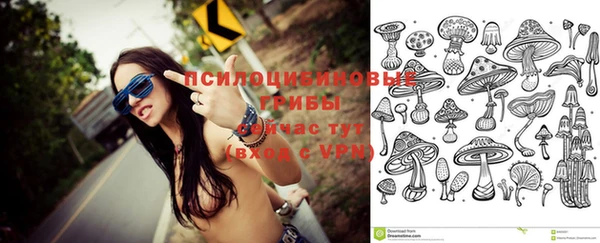 дмт Осташков