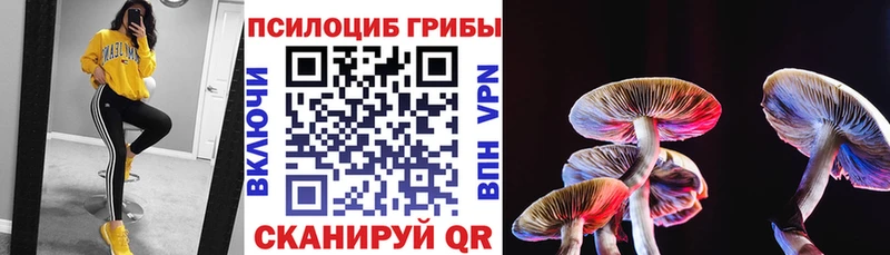 Купить закладки  Хилок  Псилоцибиновые грибы Psilocybe 