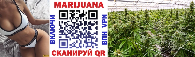 Купить закладки  Хилок  Канабис тримм 